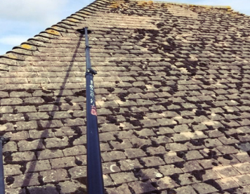 pic1 Gallery